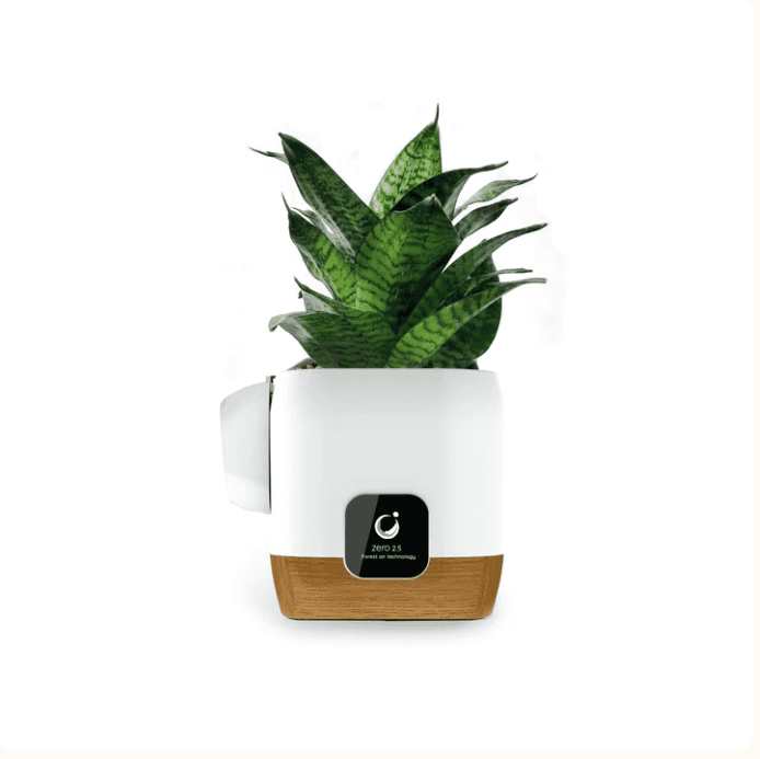 Air Ionizer Zero2.5 with life plants