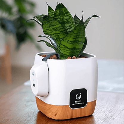 Living Plant Air Purifier SP2800 