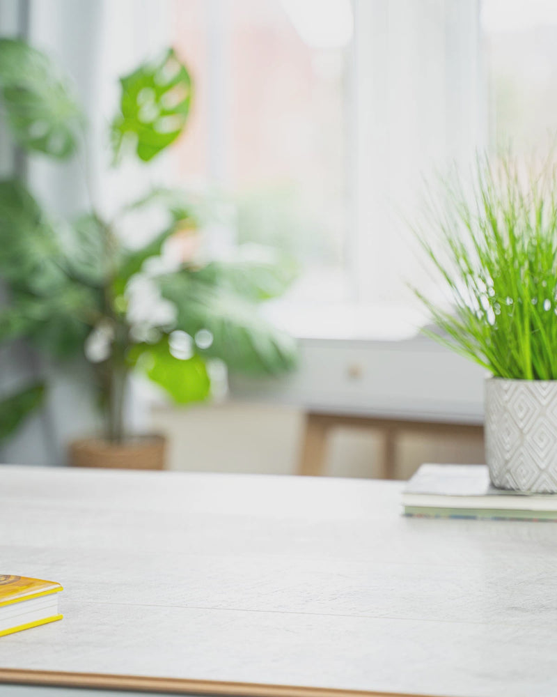 Briiv replacement filters for a refreshing indoor air that smell like nature.  